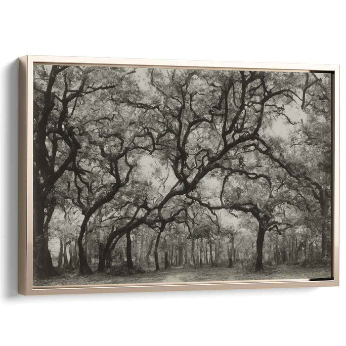 Ethereal Shades of Wilderness: Monochromatic Elegance in Nature Photography