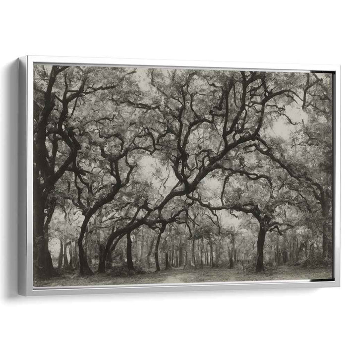 Ethereal Shades of Wilderness: Monochromatic Elegance in Nature Photography