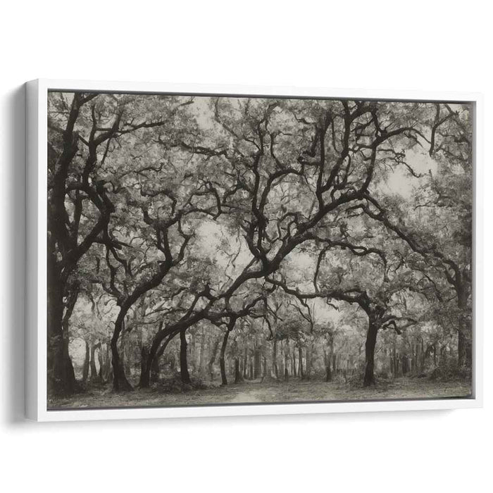 Ethereal Shades of Wilderness: Monochromatic Elegance in Nature Photography