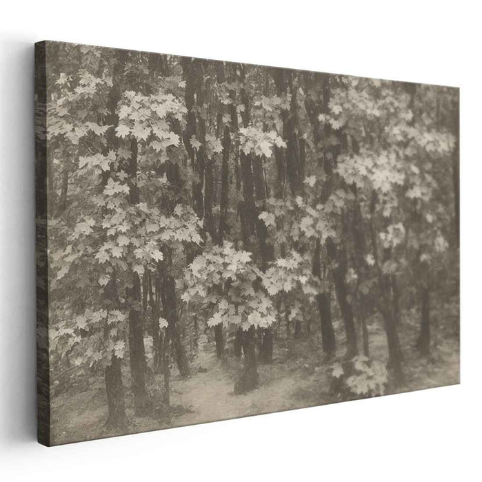 Antique Woodland Trail: A Sepia Toned Forest Path Canvas Art