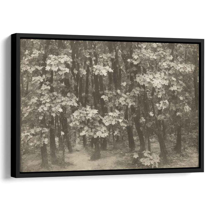 Antique Woodland Trail: A Sepia Toned Forest Path Canvas Art