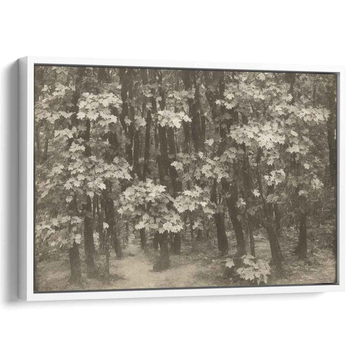 Antique Woodland Trail: A Sepia Toned Forest Path Canvas Art