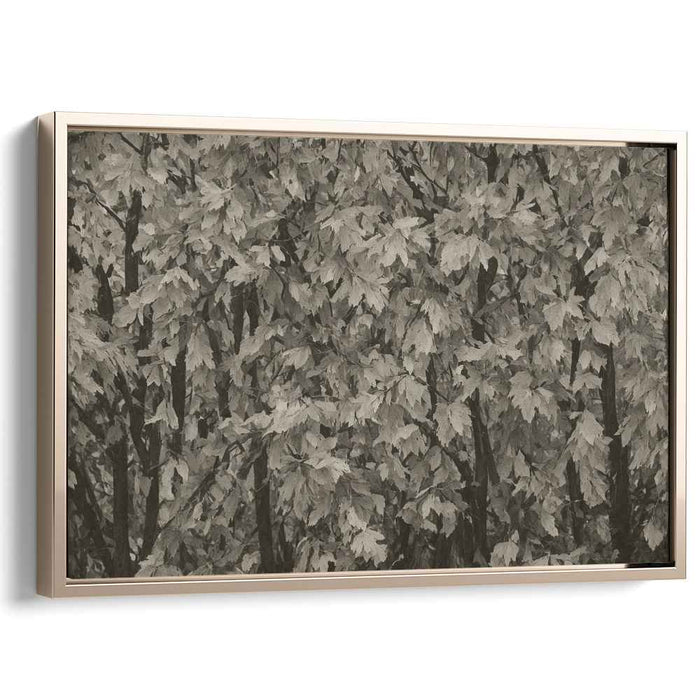 Autumn's Whisper: Serene Maple Leaf Canvas Art