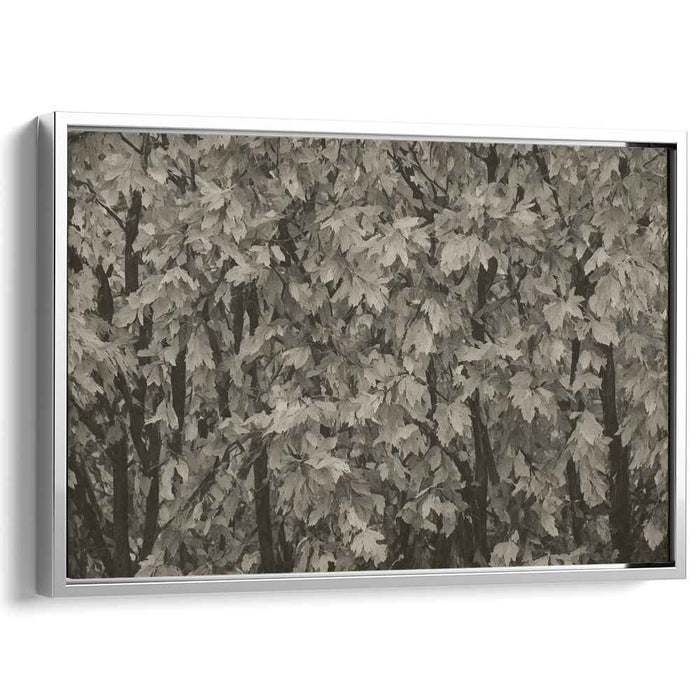 Autumn's Whisper: Serene Maple Leaf Canvas Art