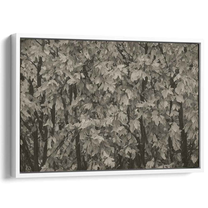 Autumn's Whisper: Serene Maple Leaf Canvas Art