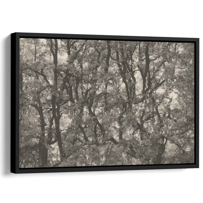 Vintage Woods Essence: Sepia-toned Forest Landscape Canvas Art Print