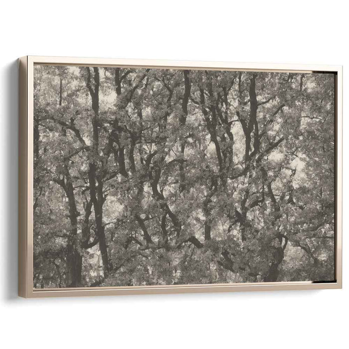 Vintage Woods Essence: Sepia-toned Forest Landscape Canvas Art Print