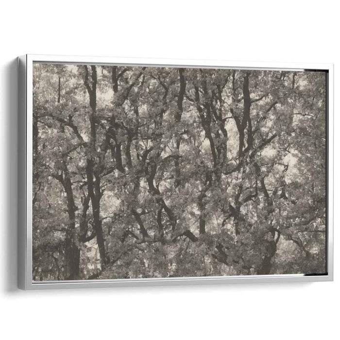 Vintage Woods Essence: Sepia-toned Forest Landscape Canvas Art Print