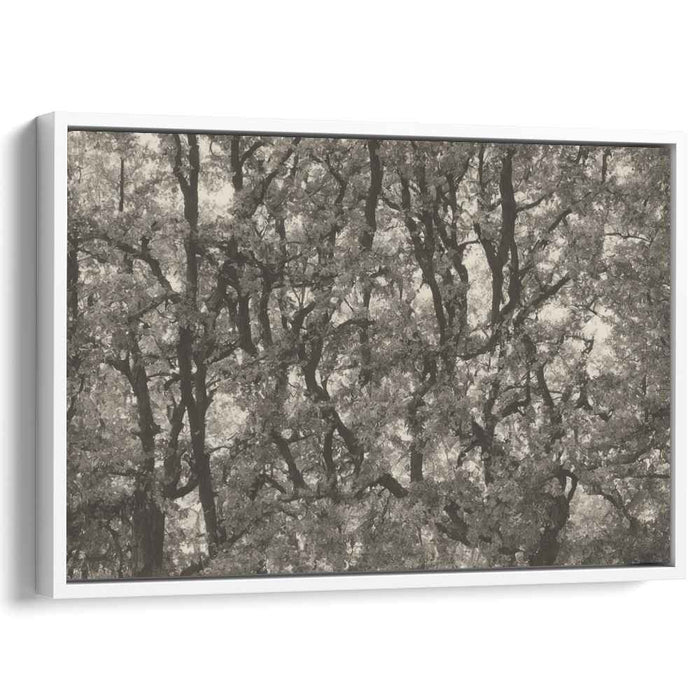 Vintage Woods Essence: Sepia-toned Forest Landscape Canvas Art Print