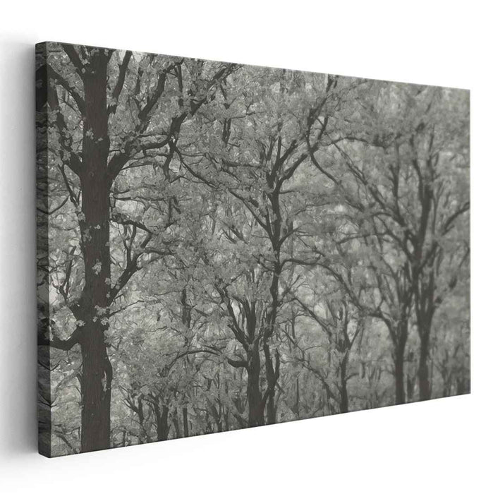 Inkstained Opus: Monochromatic Elegance Canvas Art Print