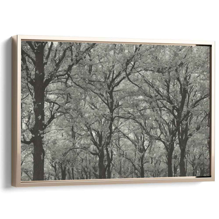 Inkstained Opus: Monochromatic Elegance Canvas Art Print