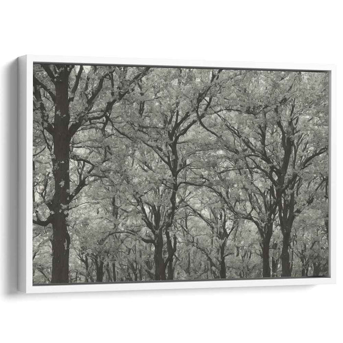 Inkstained Opus: Monochromatic Elegance Canvas Art Print