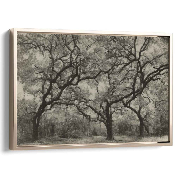 Vintage Dogwood #121