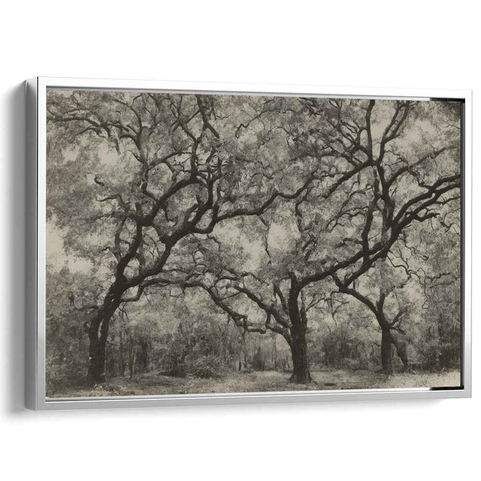 Vintage Dogwood #121