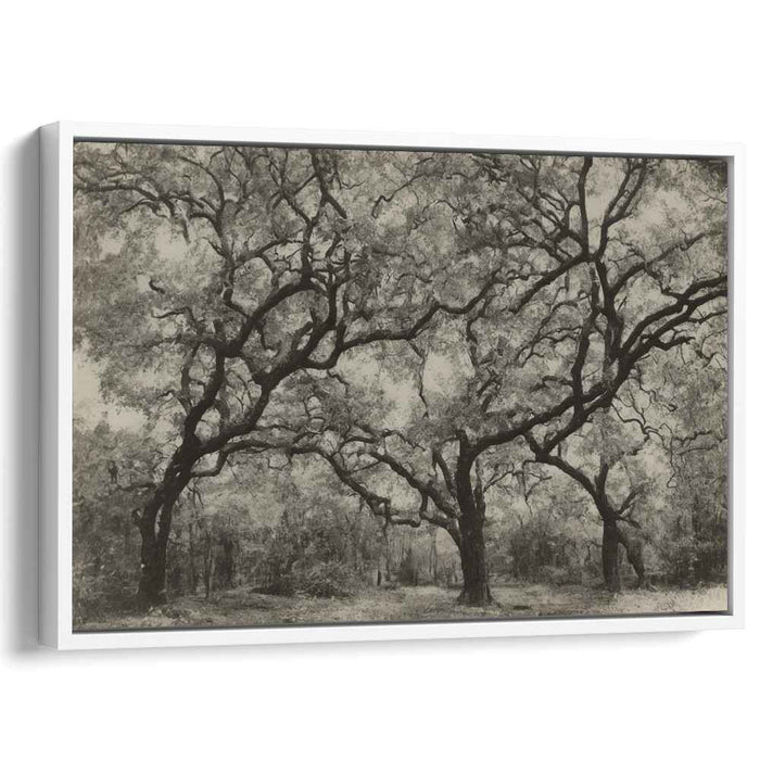 Vintage Dogwood #121