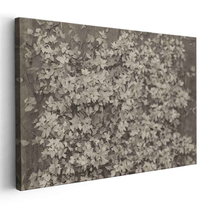 Ghostly Vines of Memory: Sepia-Toned Ivy Leaves Canvas Art Print