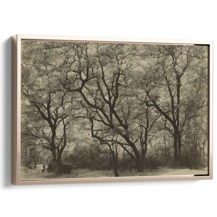 Vintage Dogwood #124