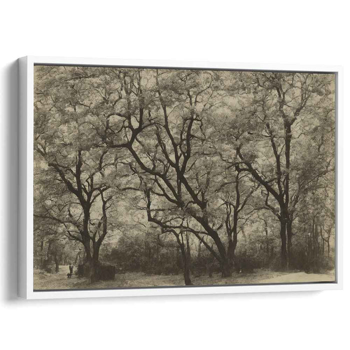 Vintage Dogwood #124