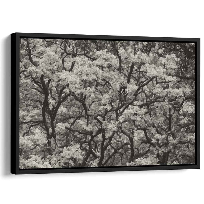 Luminescent Duality: A Study in Contrast and Light