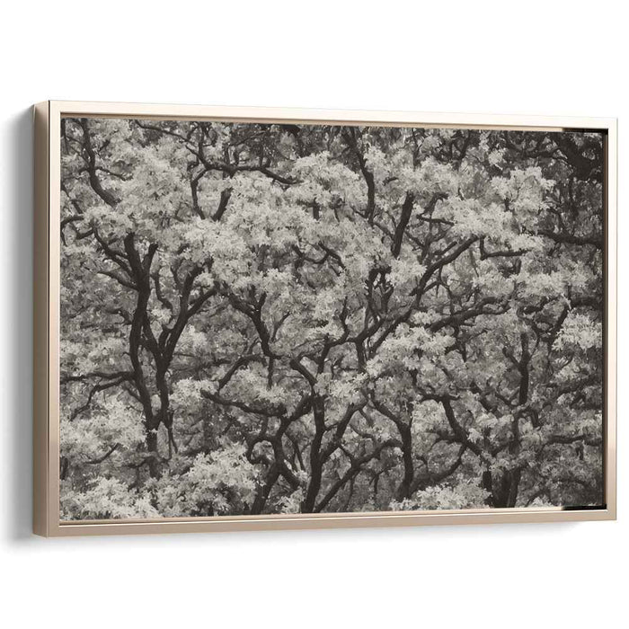 Luminescent Duality: A Study in Contrast and Light