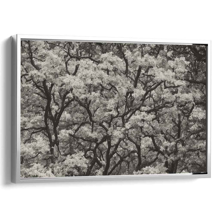 Luminescent Duality: A Study in Contrast and Light