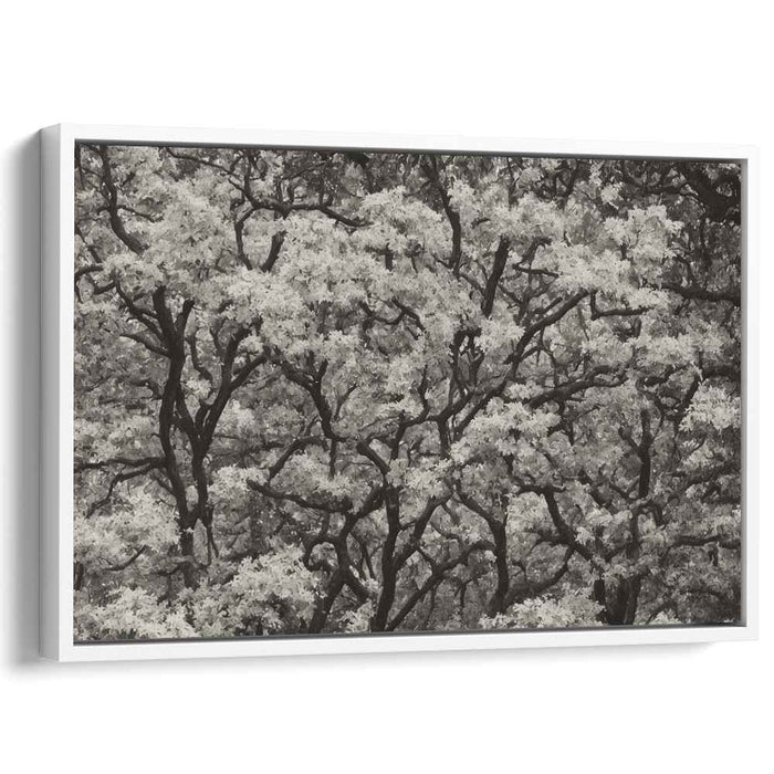 Luminescent Duality: A Study in Contrast and Light