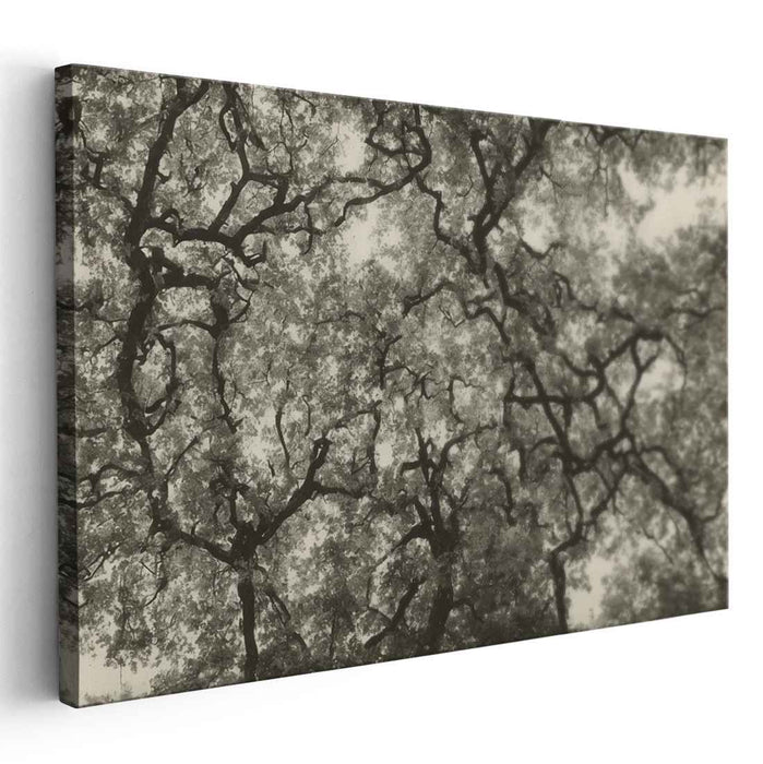 Inkblot Shadows Whisper: Monochrome Treetop Silhouettes Canvas Art
