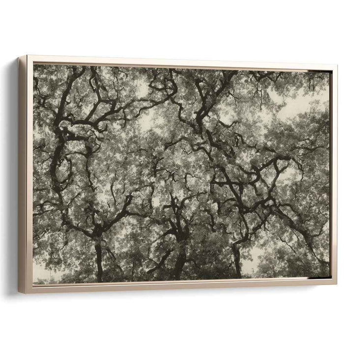 Inkblot Shadows Whisper: Monochrome Treetop Silhouettes Canvas Art