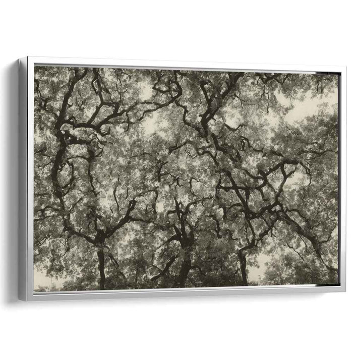 Inkblot Shadows Whisper: Monochrome Treetop Silhouettes Canvas Art