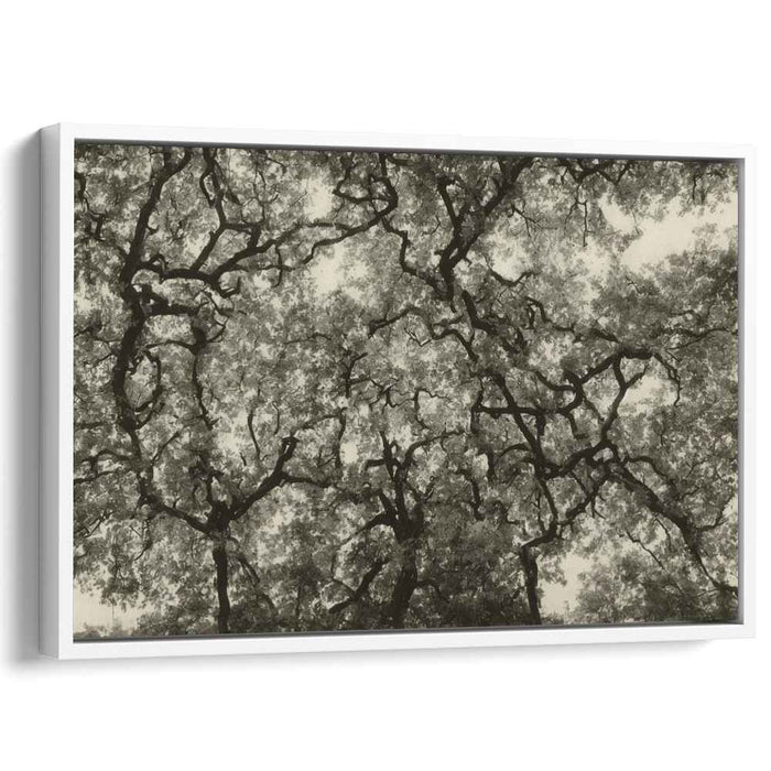 Inkblot Shadows Whisper: Monochrome Treetop Silhouettes Canvas Art