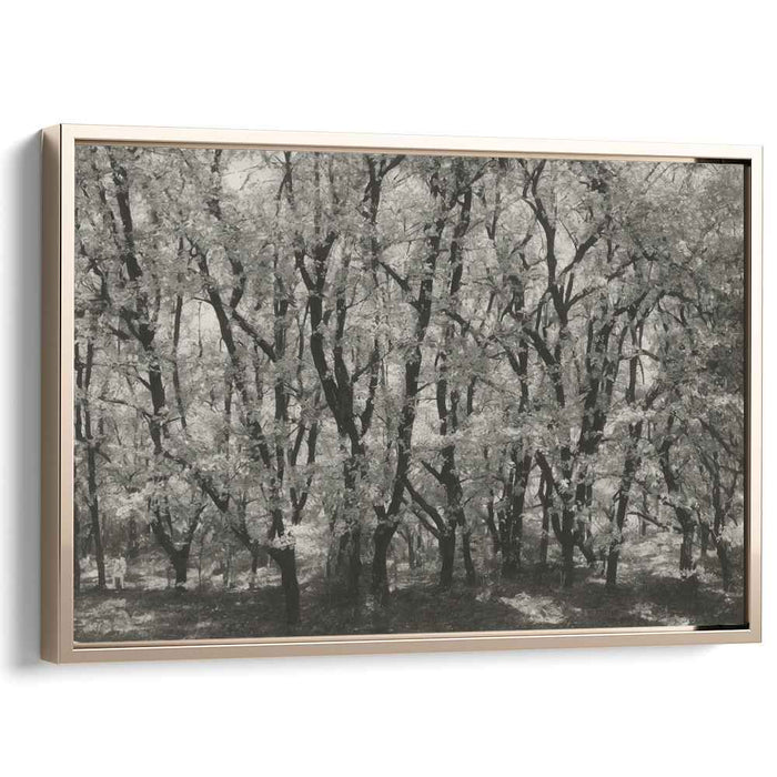 Shadows of the Silent Woods: Black and White Forest Canvas Art Print
