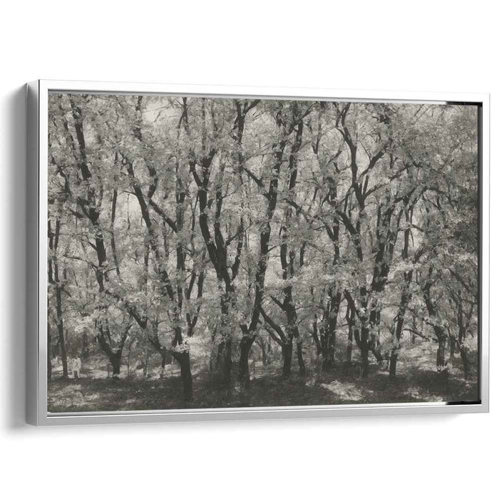 Shadows of the Silent Woods: Black and White Forest Canvas Art Print