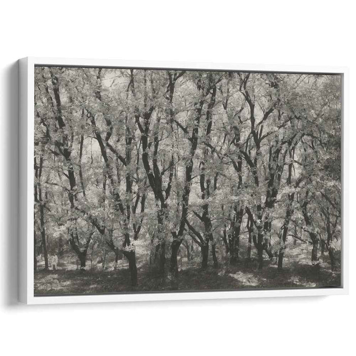 Shadows of the Silent Woods: Black and White Forest Canvas Art Print