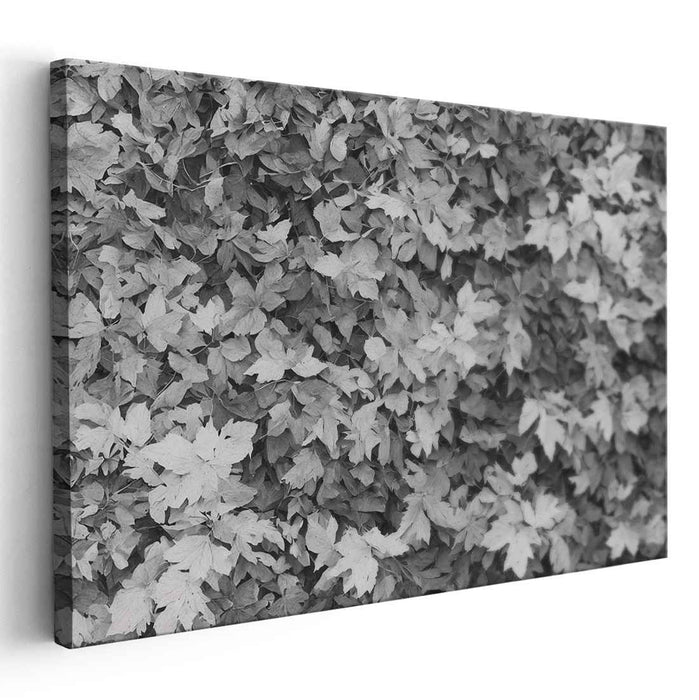 Ink Wash Foliage Impressions: Monochrome Leaf Texture Canvas Art Print