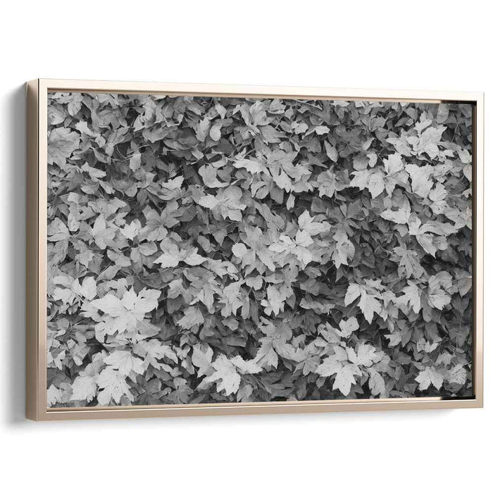 Ink Wash Foliage Impressions: Monochrome Leaf Texture Canvas Art Print