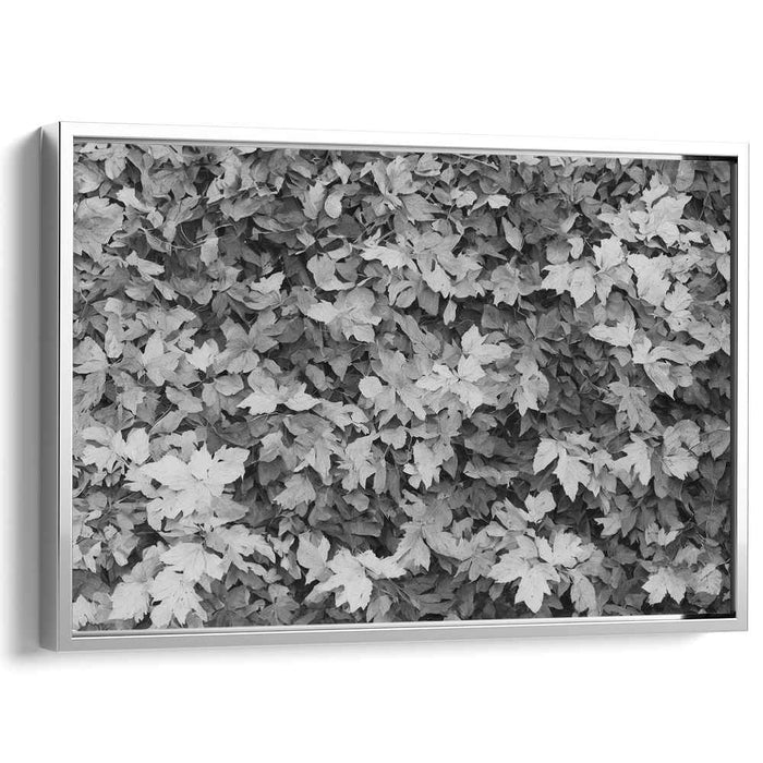 Ink Wash Foliage Impressions: Monochrome Leaf Texture Canvas Art Print
