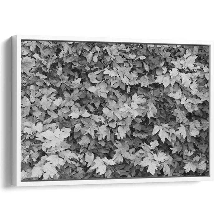 Ink Wash Foliage Impressions: Monochrome Leaf Texture Canvas Art Print