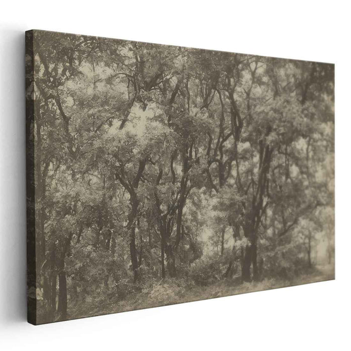 Sepia Chronicles: A Timeless Sepia Forest Canvas Art