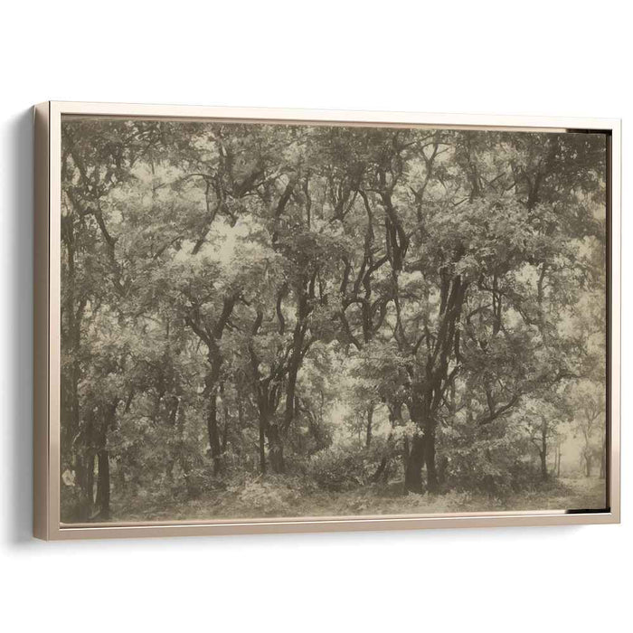 Sepia Chronicles: A Timeless Sepia Forest Canvas Art