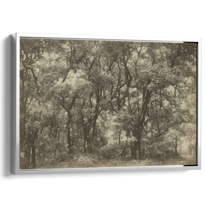 Sepia Chronicles: A Timeless Sepia Forest Canvas Art