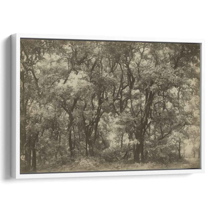 Sepia Chronicles: A Timeless Sepia Forest Canvas Art