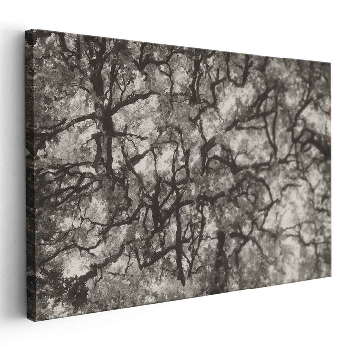 Entwined Canopy: Monochromatic Abstract Forest Landscape Canvas Art Print