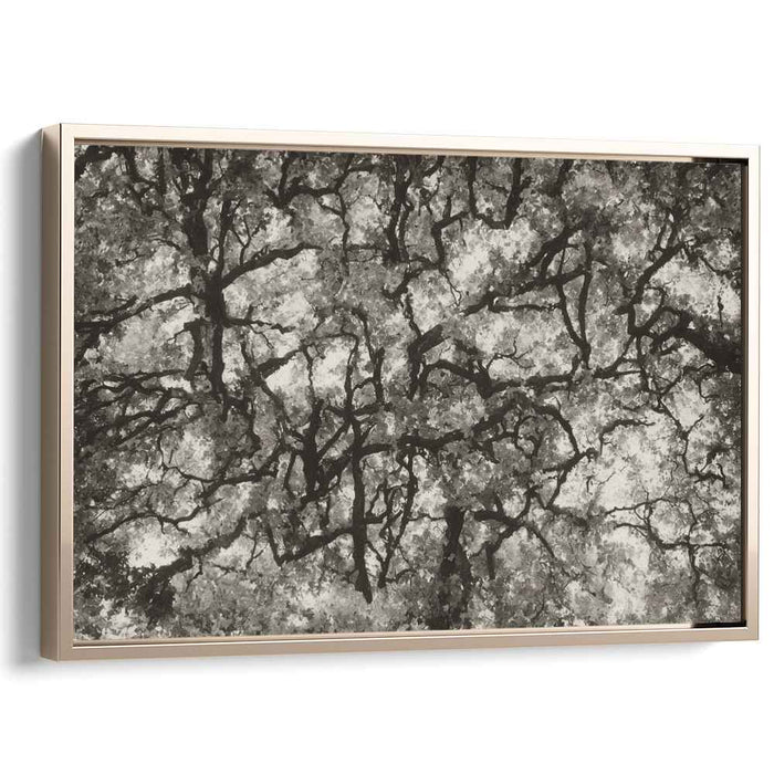 Entwined Canopy: Monochromatic Abstract Forest Landscape Canvas Art Print