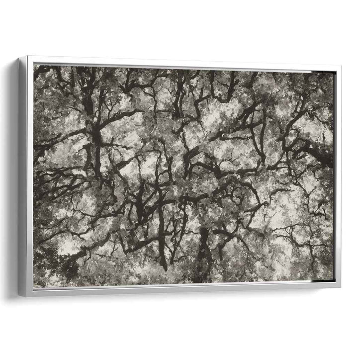 Entwined Canopy: Monochromatic Abstract Forest Landscape Canvas Art Print