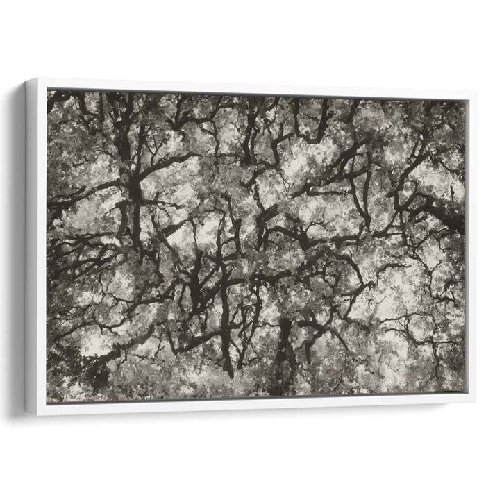 Entwined Canopy: Monochromatic Abstract Forest Landscape Canvas Art Print