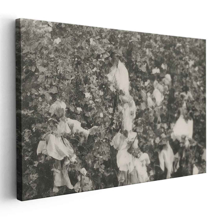 Enigmatic Embrace: Nature and Human Form in Monochrome Canvas Art Print