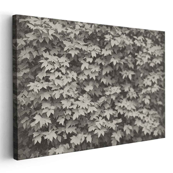 Eternal Whisper of Autumn: Monochrome Leaf Detail Canvas Art