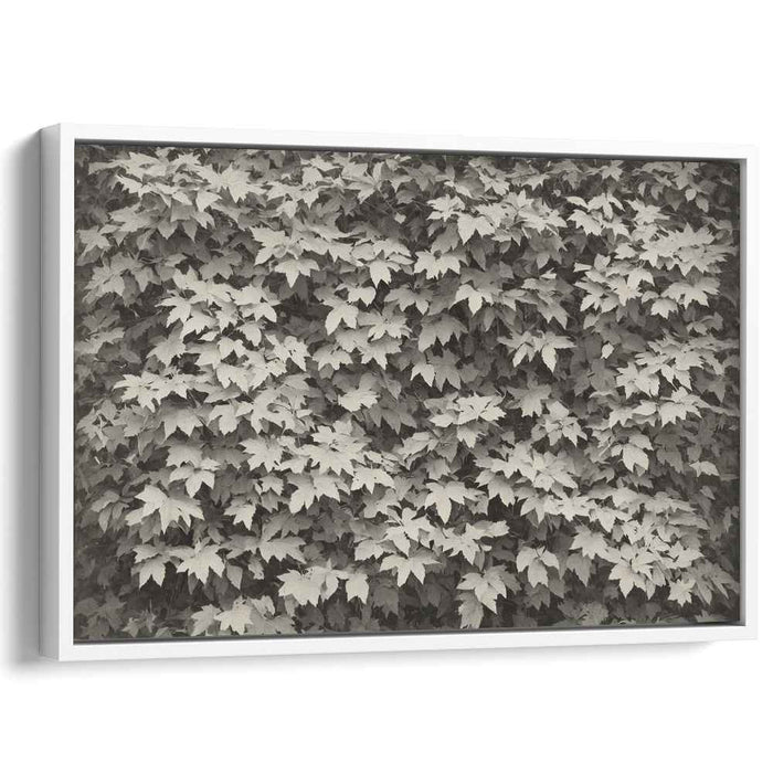 Eternal Whisper of Autumn: Monochrome Leaf Detail Canvas Art