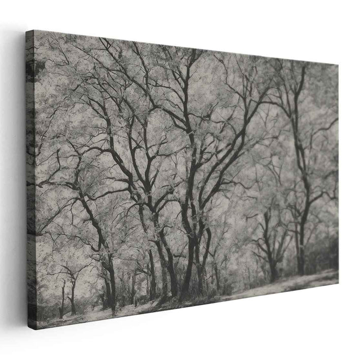 Verdant Wilderness: Photorealistic Forest Canvas Art Print