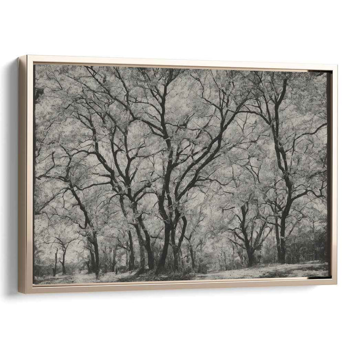 Verdant Wilderness: Photorealistic Forest Canvas Art Print
